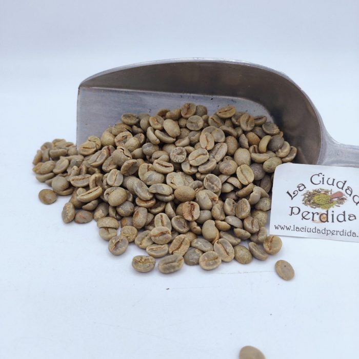 Café verde Brasil Santos